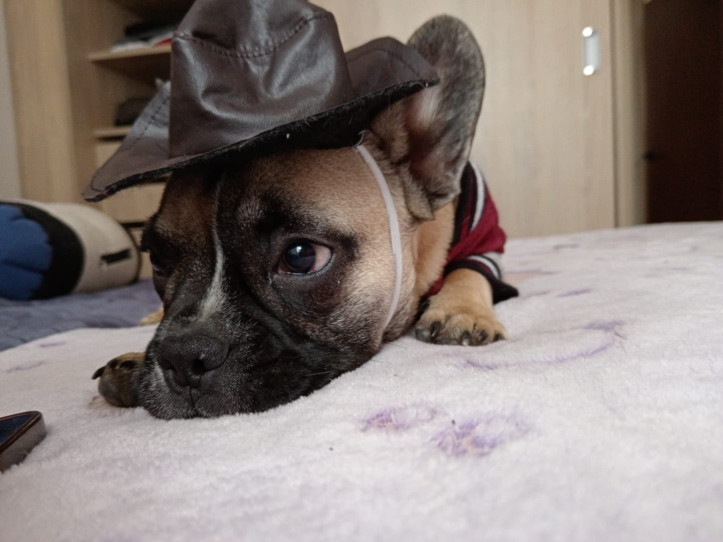 Ben resting on a bed in a cowboy hat